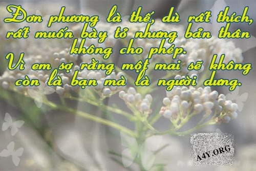 nhung-status-ve-tinh-yeu-don-phuong-sieu-buon-sieu-dung-tam-trang-nhat-dinh-se-mang-den-cho-ban-su-an-ui-to-lon-10