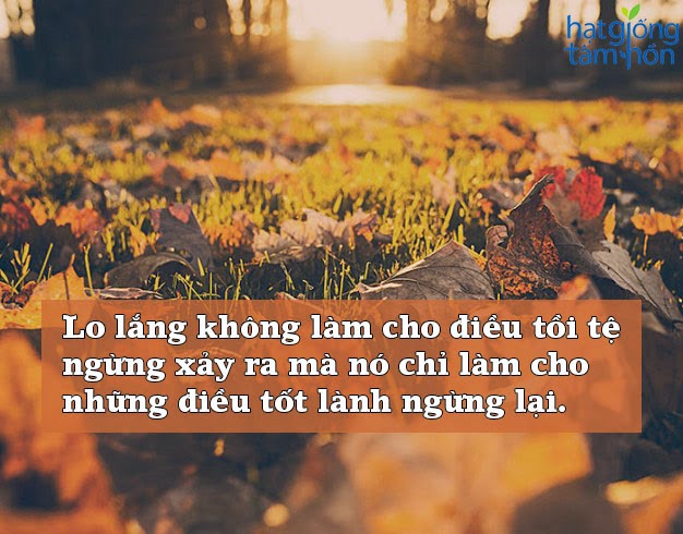 tong-hop-nhung-cau-noi-sieu-hay-sieu-sau-sac-y-nghia-ve-cuoc-song-ma-ban-nen-ghi-nho-12