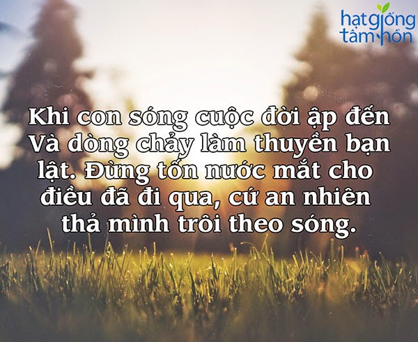 tong-hop-nhung-cau-noi-sieu-hay-sieu-sau-sac-y-nghia-ve-cuoc-song-ma-ban-nen-ghi-nho-5