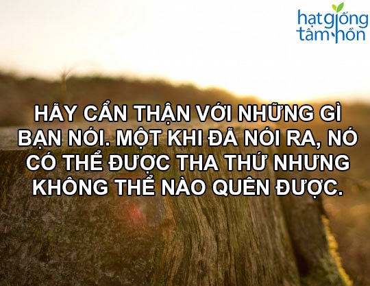 tong-hop-nhung-cau-noi-sieu-hay-sieu-sau-sac-y-nghia-ve-cuoc-song-ma-ban-nen-ghi-nho-6