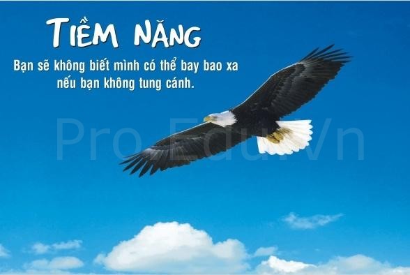 10-cau-noi-hay-ve-cuoc-song-day-cho-ban-bai-hoc-lam-nguoi-dung-nghia-6