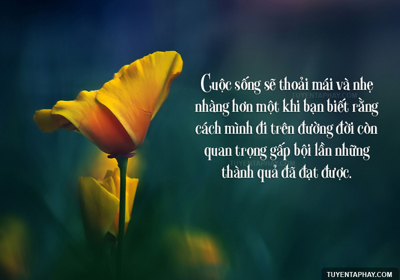 nhung-cau-noi-hay-ve-cuoc-song-va-duong-doi-ma-ban-nhat-dinh-phai-ghi-nho-trong-long-11