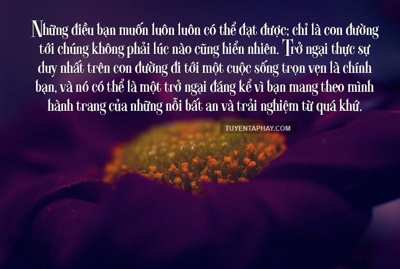 nhung-cau-noi-hay-ve-cuoc-song-va-duong-doi-ma-ban-nhat-dinh-phai-ghi-nho-trong-long-2