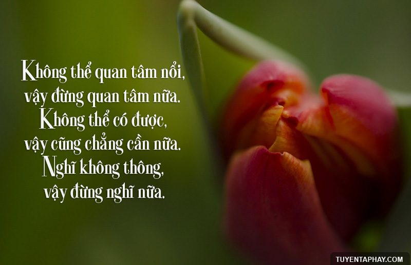 nhung-cau-noi-hay-ve-cuoc-song-va-duong-doi-ma-ban-nhat-dinh-phai-ghi-nho-trong-long-3